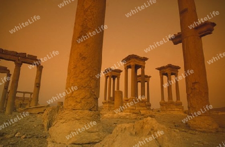 the Roman Ruins of Palmyra in Palmyra in the east of Syria.