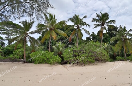 Sunny day beach view on the paradise islands Seychelles.