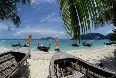 A Beach on the Island of Ko PhiPhi on Ko Phi Phi Island outside of the City of Krabi on the Andaman Sea in the south of Thailand. 