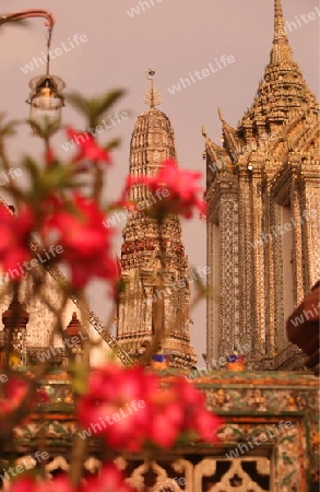 Die Tempelanlage des Wat Arun in Banglamphu in Bangkok der Hauptstadt von Thailand in Suedostasien.  