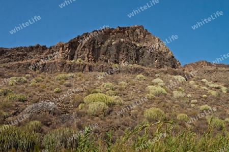 Vulkangestein auf Gran Canaria