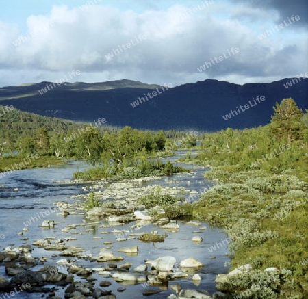 Hardangervidda