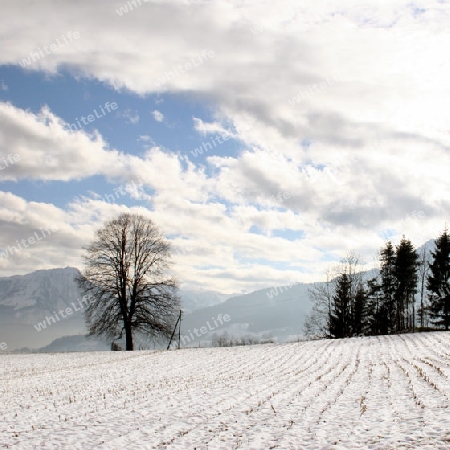 Winterlandschaft