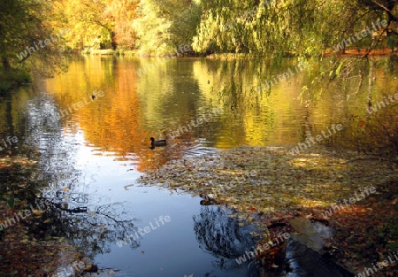 Englischer Garten M?nchen