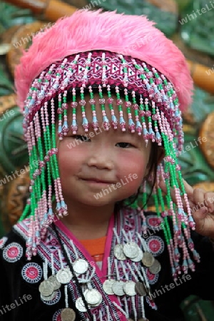 Traditionelle Taenzerinnen tanzen beim Wat Phra That Doi Suthep Tempel in Chiang Mai im Norden von Thailand.