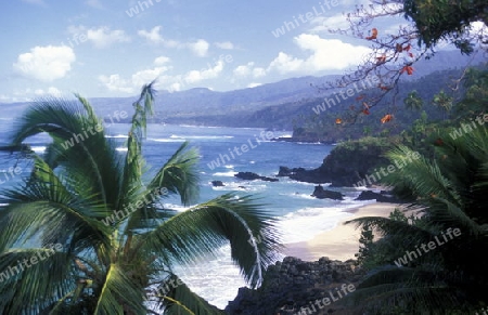 the landscape on the coast of the village Moya on the Island of Anjouan on the Comoros Ilands in the Indian Ocean in Africa.   