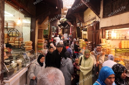 a smal Marketroad in the Medina of old City in the historical Town of Fes in Morocco in north Africa.