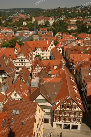 Blick von der Stiftskirche in T?bingen