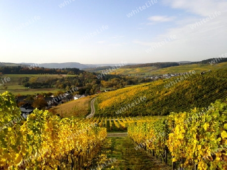 Herbstlandschaft