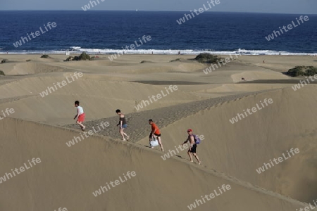 the Sanddunes at the Playa des Ingles in town of Maspalomas on the Canary Island of Spain in the Atlantic ocean.