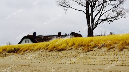 Das Strandhaus