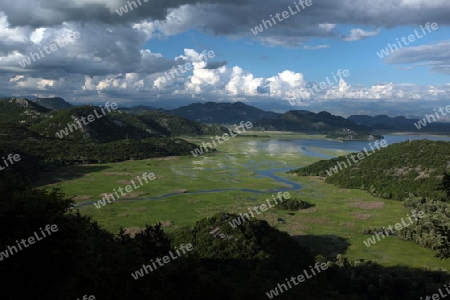 Die Landschaft mit dem Ufer des Skadar See oder Skadarsko Jezerobei Virpazar in Montenegro in Europa.   