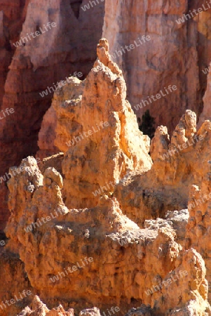 Bryce Canyon USA