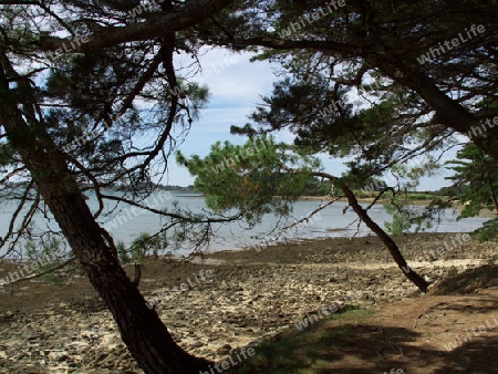 Impression am Golf von Morbihan