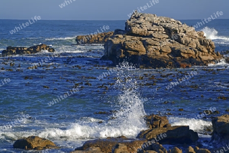 st?rmische See an den Felsen von Bird Island, Lamberts Bay, Western Cape, Westkap, S?dafrika, Afrika