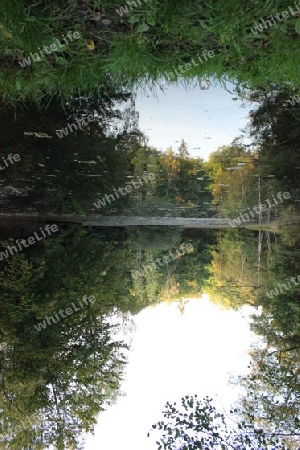 ''Himmlischer Waldsee''