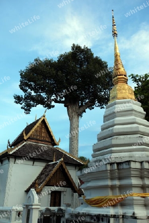 Die Architektur des Wat Chedi Luang Tempel in Chiang Mai im Norden von Thailand.