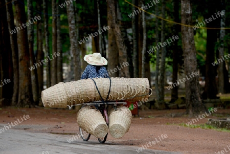 A Women with a transport near the Angkor Thom  in the Temple City of Angkor near the City of Siem Riep in the west of Cambodia.