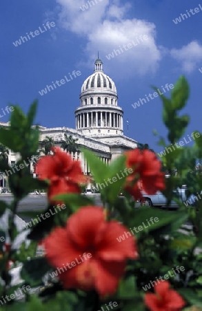 the capitolio National in the city of Havana on Cuba in the caribbean sea.