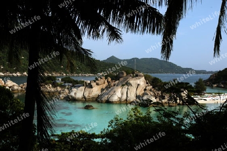 Die Strand und Insellandschaft auf der Insel Koh Naang Yuan neben der Insel Ko Tao im Golf von Thailand im Suedwesten von Thailand in Suedostasien. 