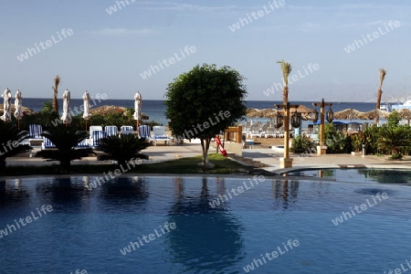 the coast with a Beach in the city of Aqaba on the red sea in Jordan in the middle east.