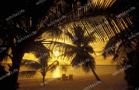 
Der Strand im Abendlicht auf der Insel Helengeli im Northmale  Atoll auf den Inseln der Malediven im Indischen Ozean.   