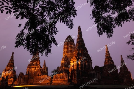 Der Wat Chai Wattanaram Tempel in der Tempelstadt Ayutthaya noerdlich von Bangkok in Thailand.