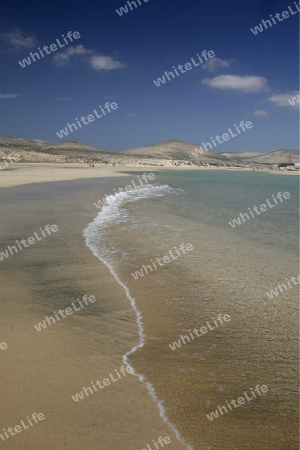 the Playa de Satovento de Jandia on the south of the Island Fuerteventura on the Canary island of Spain in the Atlantic Ocean.