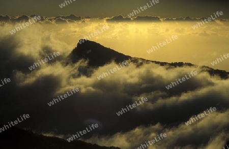 The landscape allround the Grand Bassin on the Island of La Reunion in the Indian Ocean in Africa.