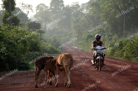 Die Landstrasse 12 beim Dorf Mahaxai Mai von Tham Pa Fa unweit der Stadt Tha Khaek in zentral Laos an der Grenze zu Thailand in Suedostasien.