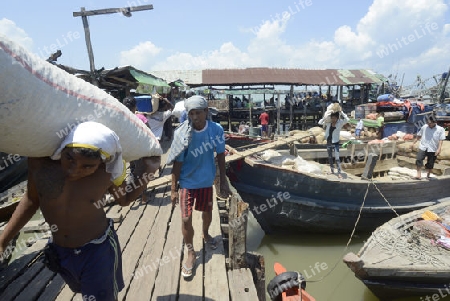 people at the Pier in the city of Myeik in the south in Myanmar in Southeastasia.