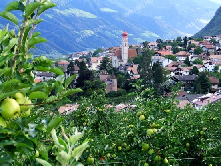 Partschins im Vinschgau