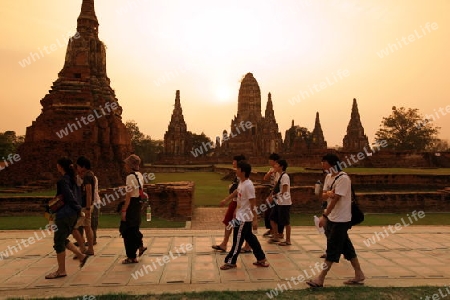 Der Wat Chai Wattanaram Tempel in der Tempelstadt Ayutthaya noerdlich von Bangkok in Thailand.