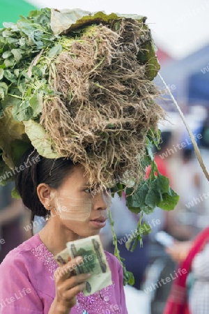 a fegetable market in a Market near the City of Yangon in Myanmar in Southeastasia.