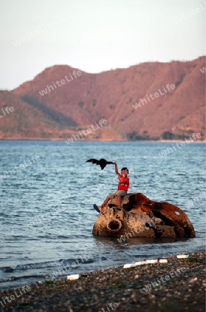 Ein Junge auf einem uralten verrosteten und gestrandeten Boot am Stadtstrand von Dili der Hauptstadt von Ost Timor auf der in zwei getrennten Insel Timor in Asien.  