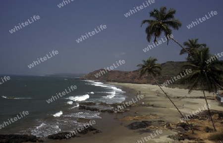  the beach of vagador in the Province Goa in India.