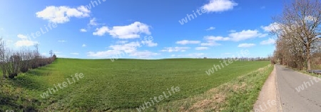 Beautiful high resolution panorama of a northern european country landscape with fields and green grass.