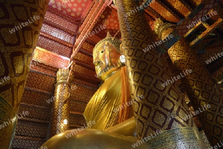 A allday ceremony in the Wat Phanan Choeng Temple in City of Ayutthaya in the north of Bangkok in Thailand, Southeastasia.