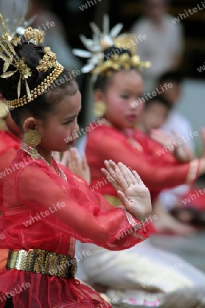 Traditionelle Taenzerinnen tanzen in einem Park in Chiang Mai im Norden von Thailand.