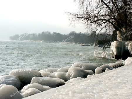 Genfersee