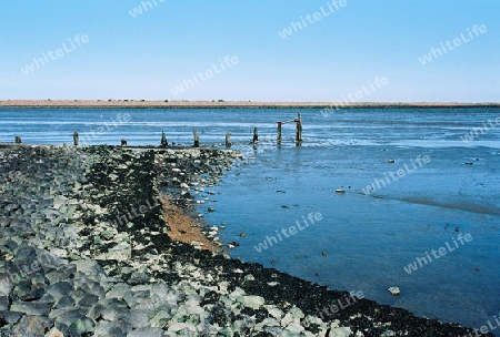 Hafen Langeoog