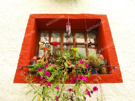 kleines Blumenfenster