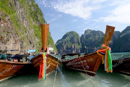 The Maya Beach  near the Ko Phi Phi Island outside of the City of Krabi on the Andaman Sea in the south of Thailand. 