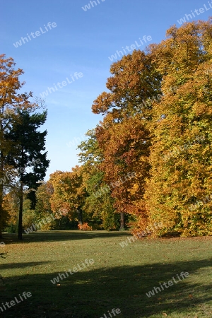 Neuer Garten Potsdam