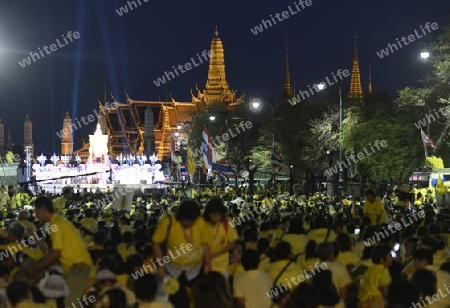 Tausende von Thailaender zelebrieren den Kroenungstag des Koenig Bhumibol auf dem Sanam Luang Park vor dem Wat Phra Kaew in der Stadt Bangkok in Thailand in Suedostasien.  