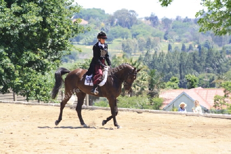 Pferd und Reiter