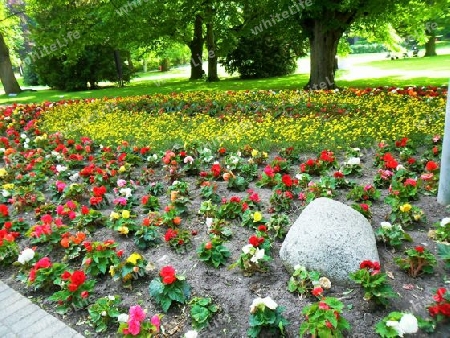 Stein im Blumenbeet