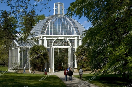 Glashaus im Botansichen Garten Genf/Schweiz