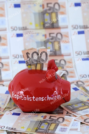 Sparschwein mit der Aufschrift " Kapitalistenschwein" und diversen 50 Euro Banknoten