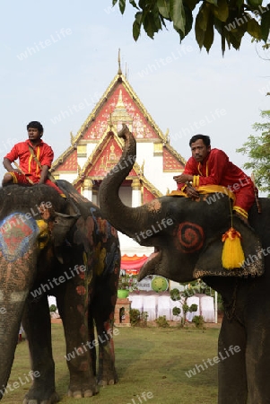 Das Songkran Fest oder Wasserfest zum Thailaendischen Neujahr ist im vollem Gange in Ayutthaya noerdlich von Bangkok in Thailand in Suedostasien.  